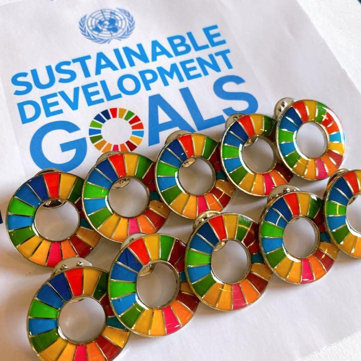 【国連本部入手品】SDGs ピンバッジ 10点【訳あり商品】 Amazon | 国連本部入手SDGs ピンバッジ 10点訳商 | バッジ